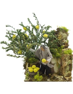 Pastore Per Presepe In Movimento, Mestiere Raccoglitore Di Limoni 14X9 cm